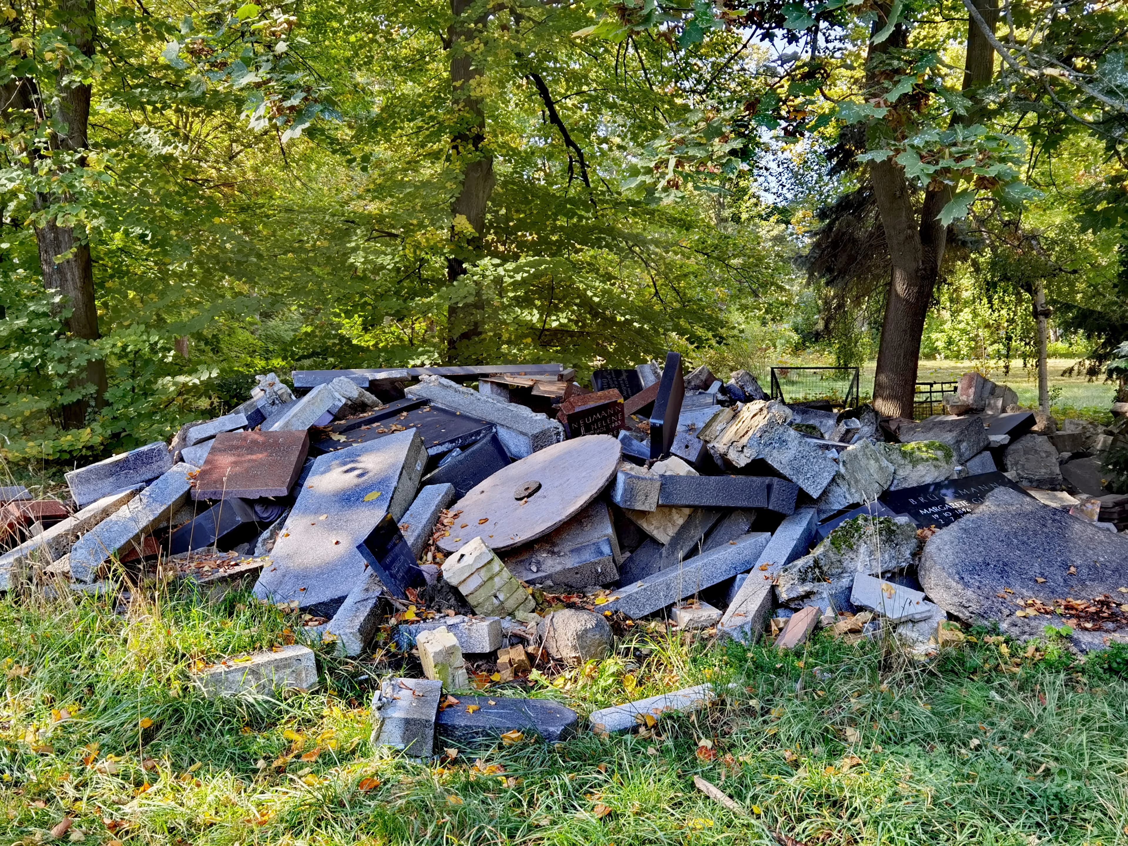 Image rezension-zu-svenja-viola-bungarten-tot-sind-wir-nicht
