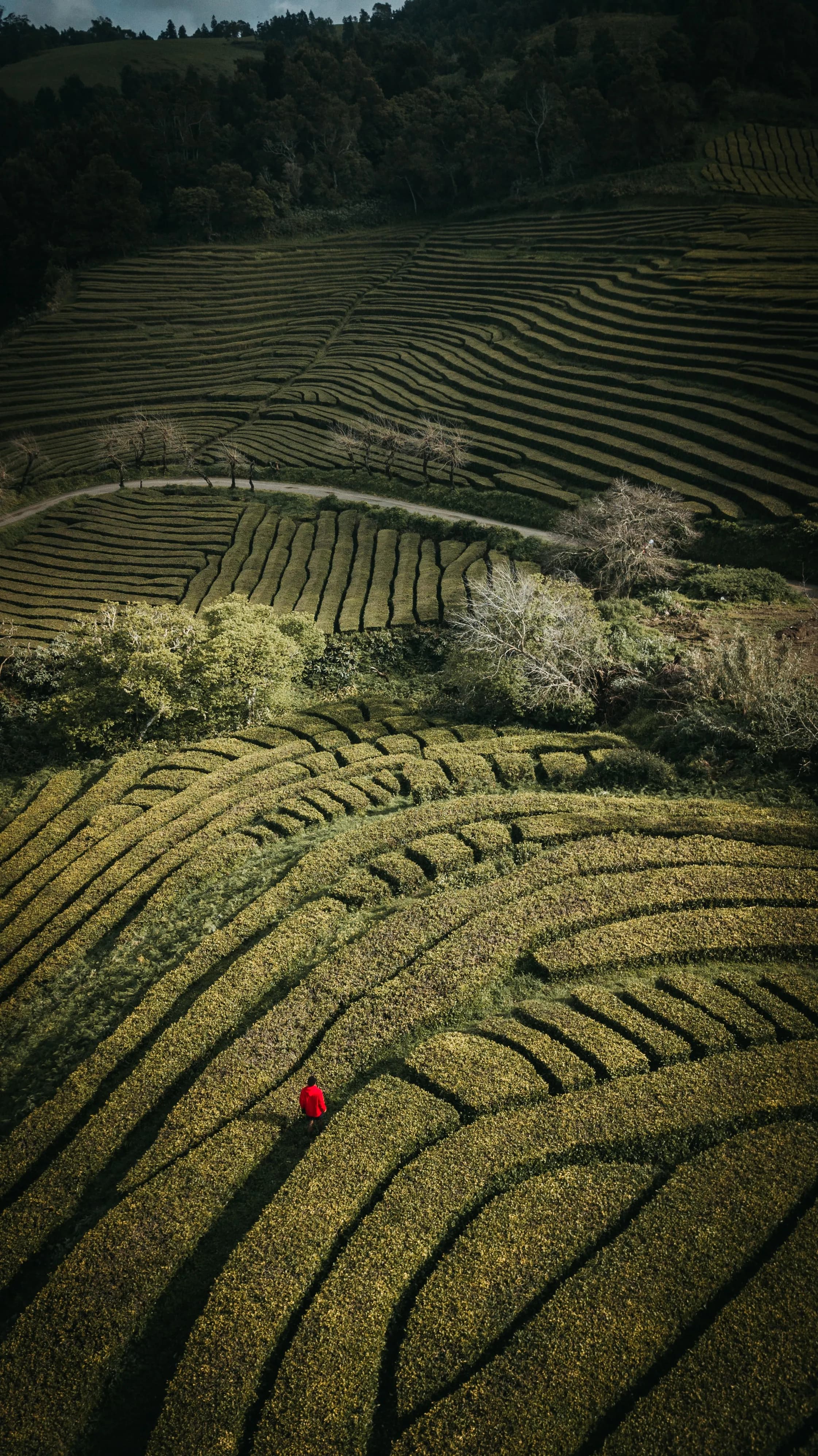 Image rezension-zu-albert-camus-der-mythos-von-sisyphos