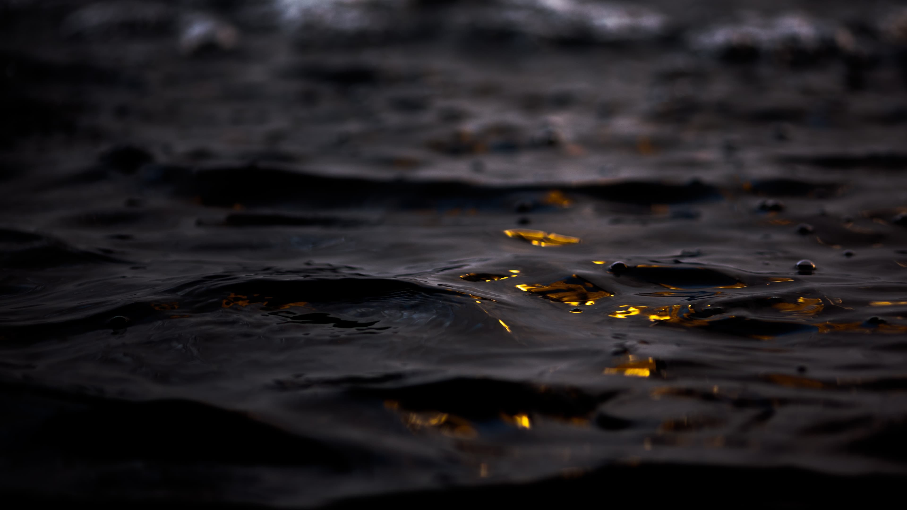 Image rezension-zu-elfriede-jelinek-rein-gold