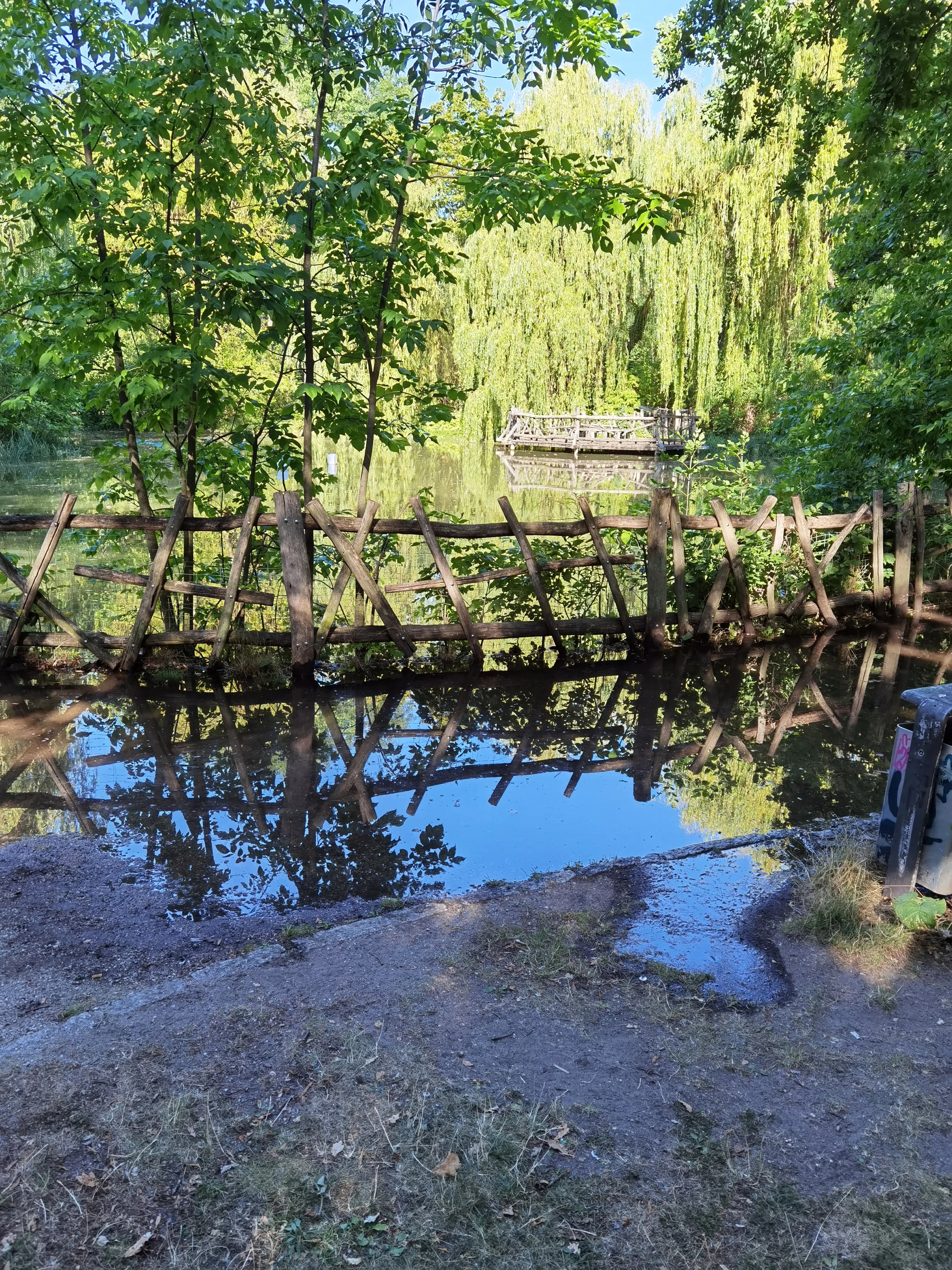 Image rezension-zu-friederike-mayrocker-da-ich-morgens-und-moosgrun.-ans-fenster-trete