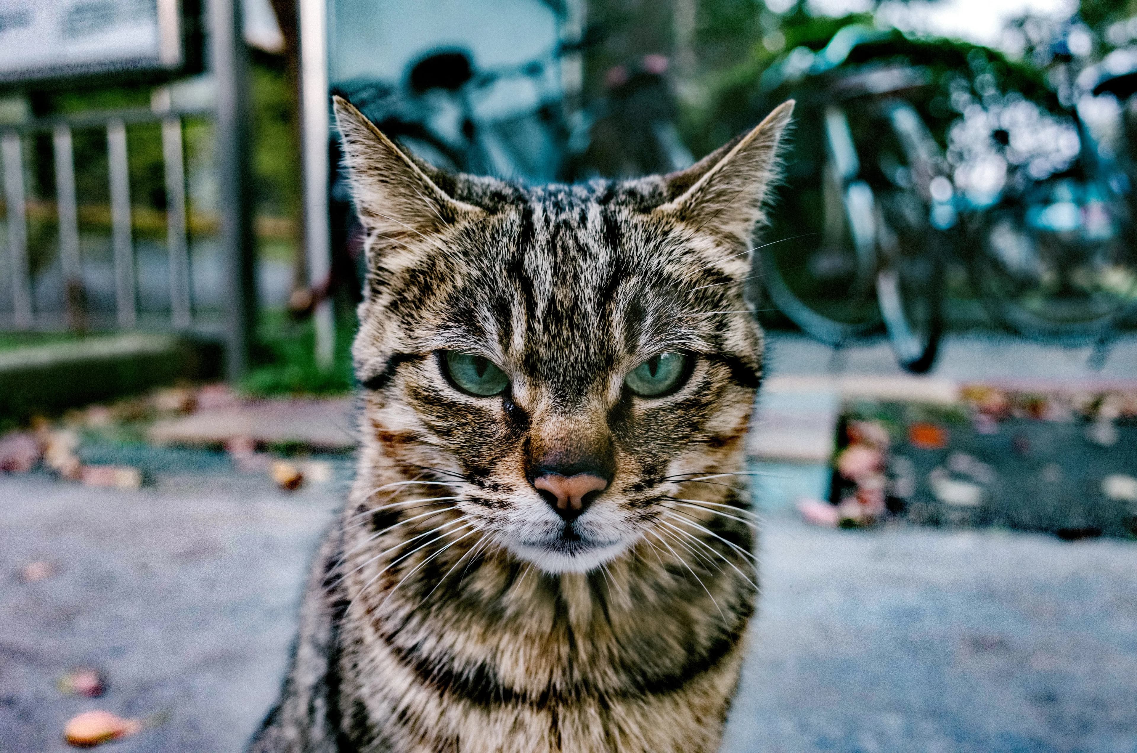 Image rezension-zu-martin-suter-benjamin-von-stuckrad-barre-alle-sind-so-ernst-geworden